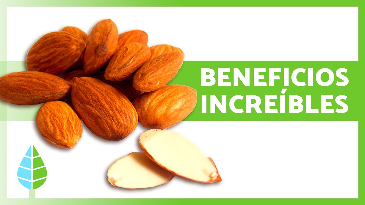 BENEFICIOS de las ALMENDRAS para la SALUD ✅ (Propiedades, Para Qué Sirven y Contraindicaciones)