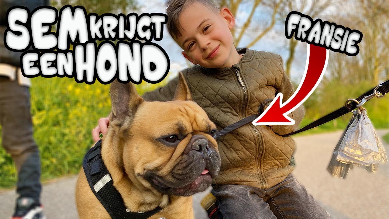 SEM KRIJGT EEN HOND VOOR ZIJN VERJAARDAG !! - De Bakkertjes #529