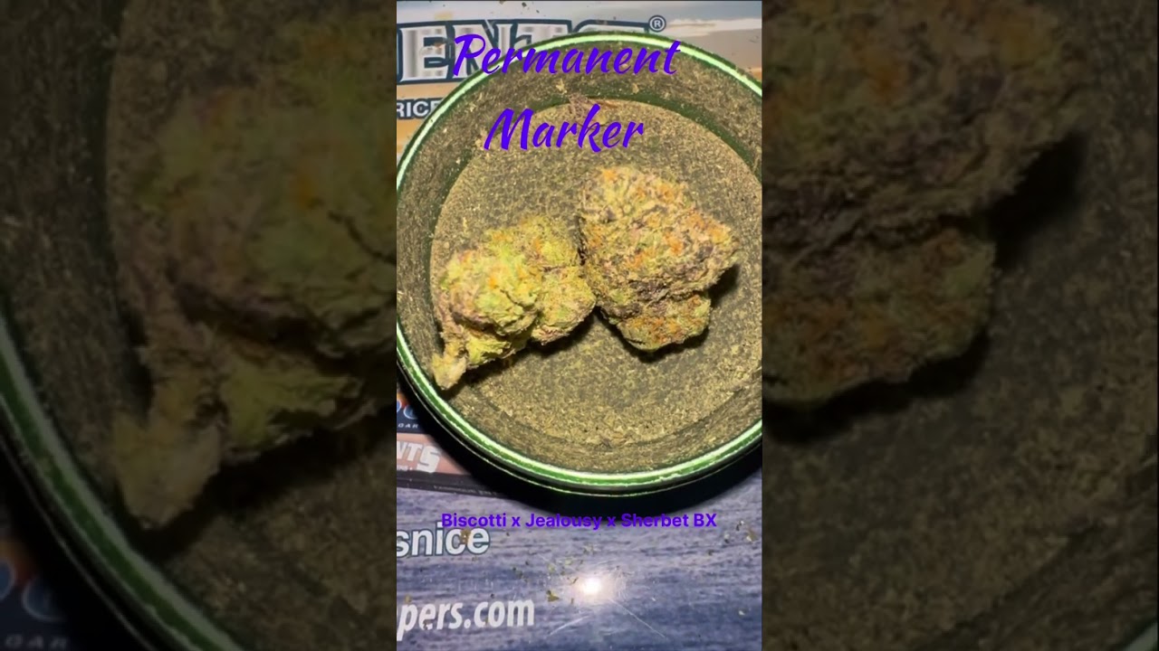 Leafly strain of the year 2023 Permanent Marker Cannabis Strain #420 #strainreviews #anime