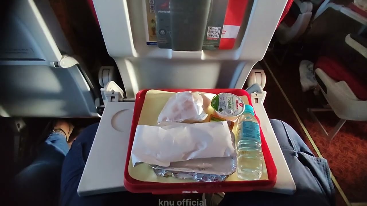 Kochi to Frankfurt (Part 1 kochi2delhi AI 466)