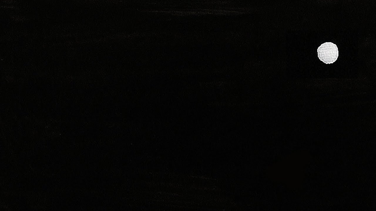 Rinzai’s Attention to the Smallest Detail