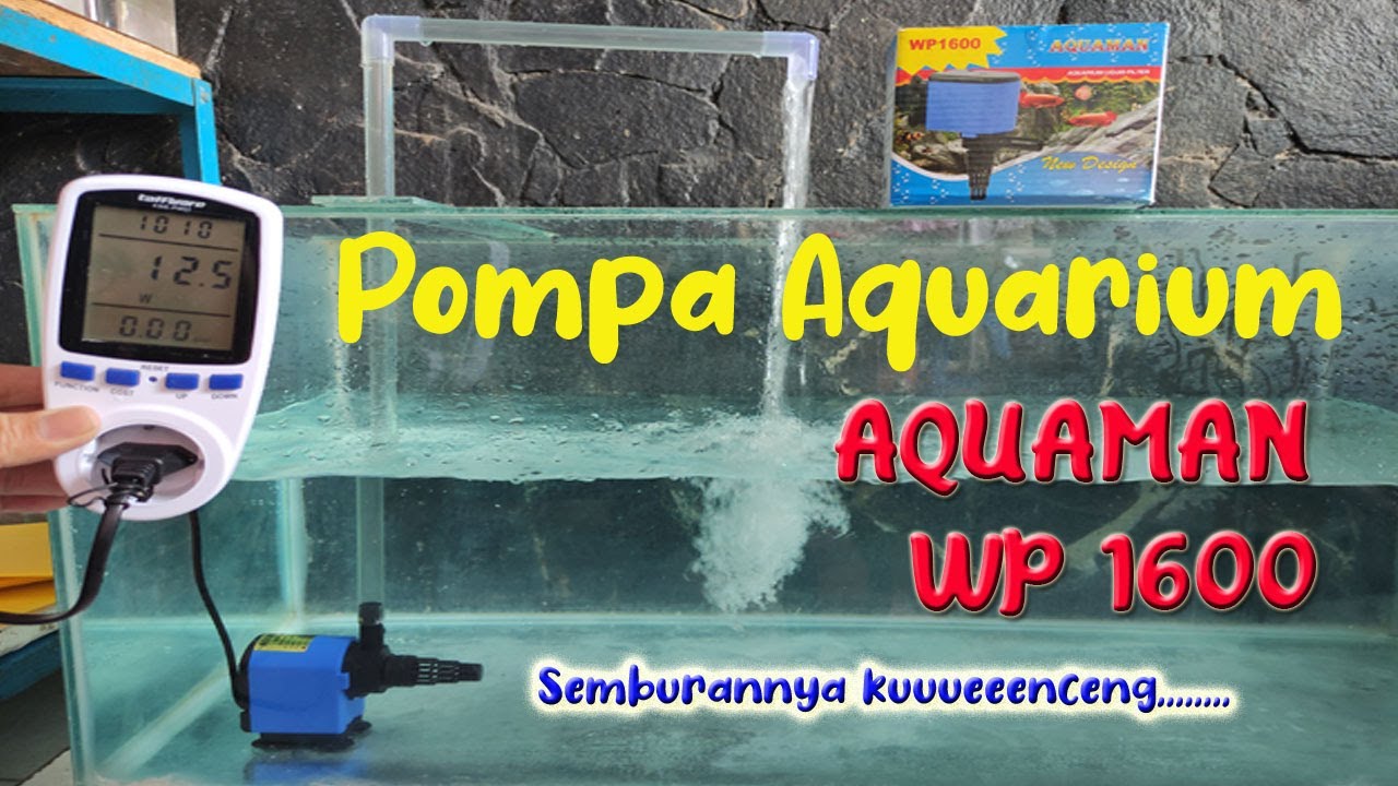 Review Mesin Pompa Aquarium atau Kolam Aquaman WP 1600