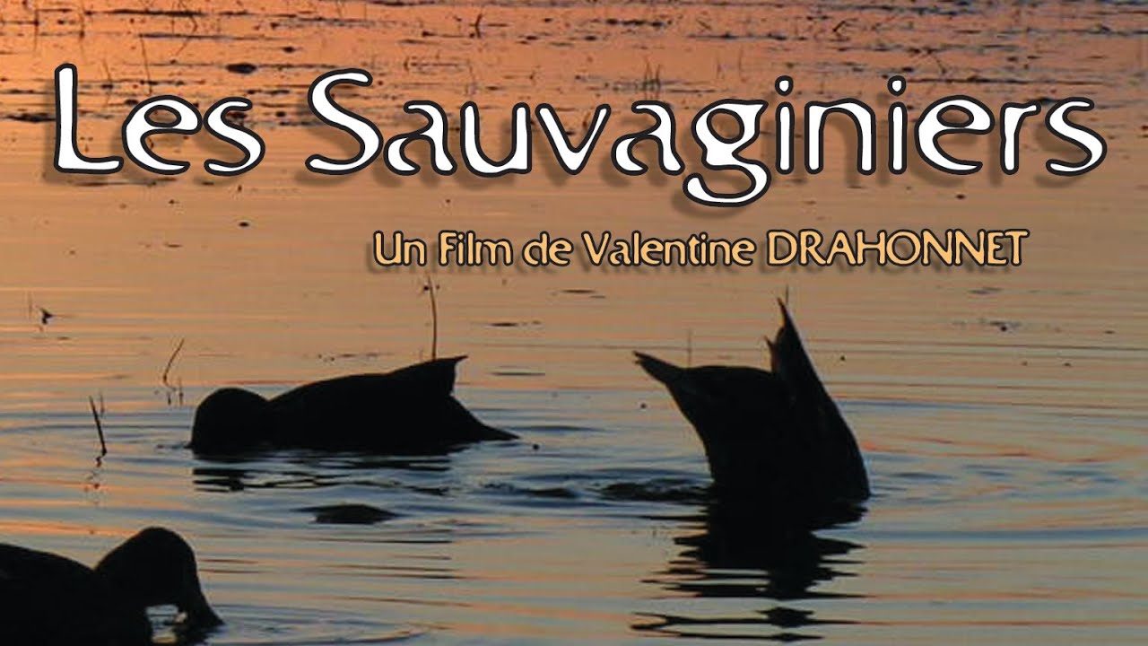 🦆Les Sauvaginiers (17)