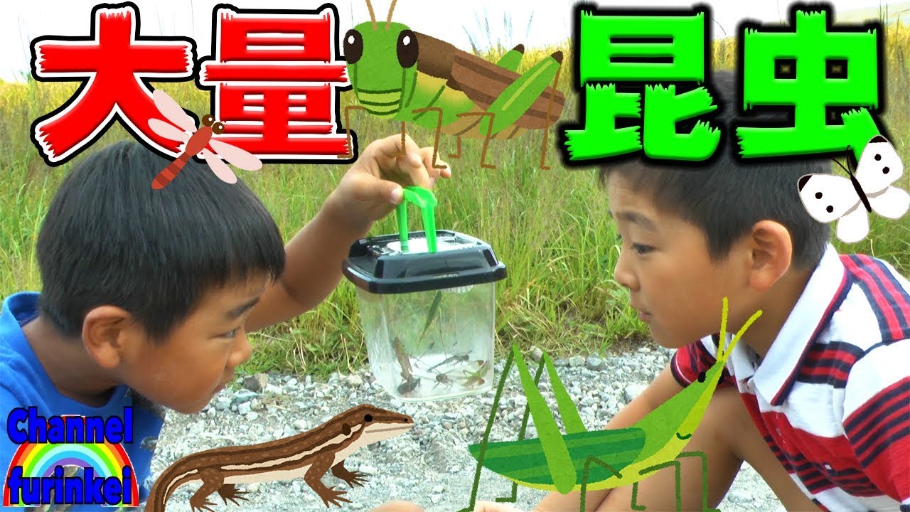 短時間で大量昆虫採集！いろいろな虫を捕まえたよ！