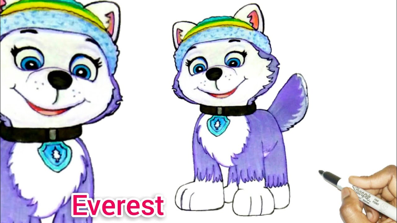Everest Winter Rescue | Everest saves the snowy Animals | How To Draw Everest From Paw Patrol
