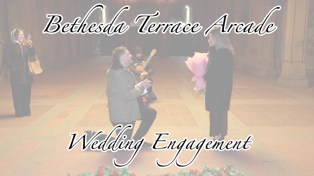 NYC Wedding Proposals / Engagements at Bethesda Terrace Arcade on Central Park Horse Carriage Ride
