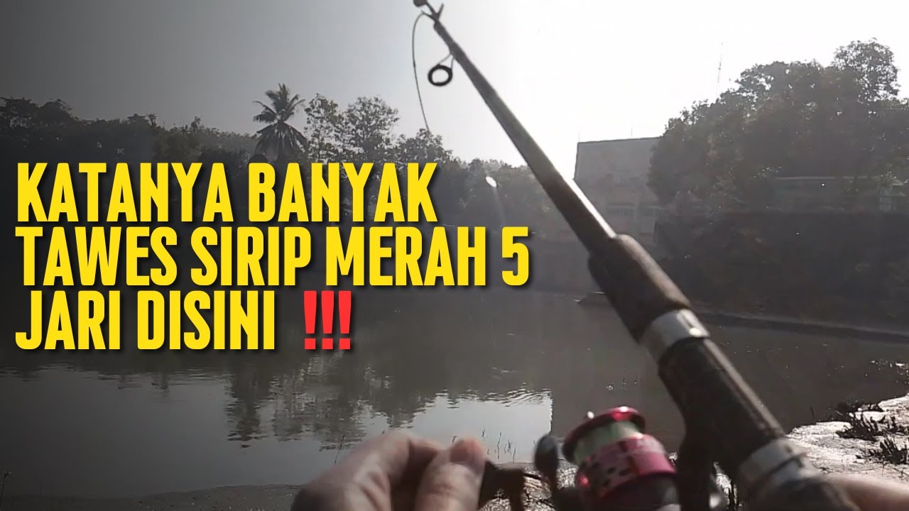 NEKAT mancing di  spot legendaris di Malang, yaitu pintu air Bendungan Sengguruh