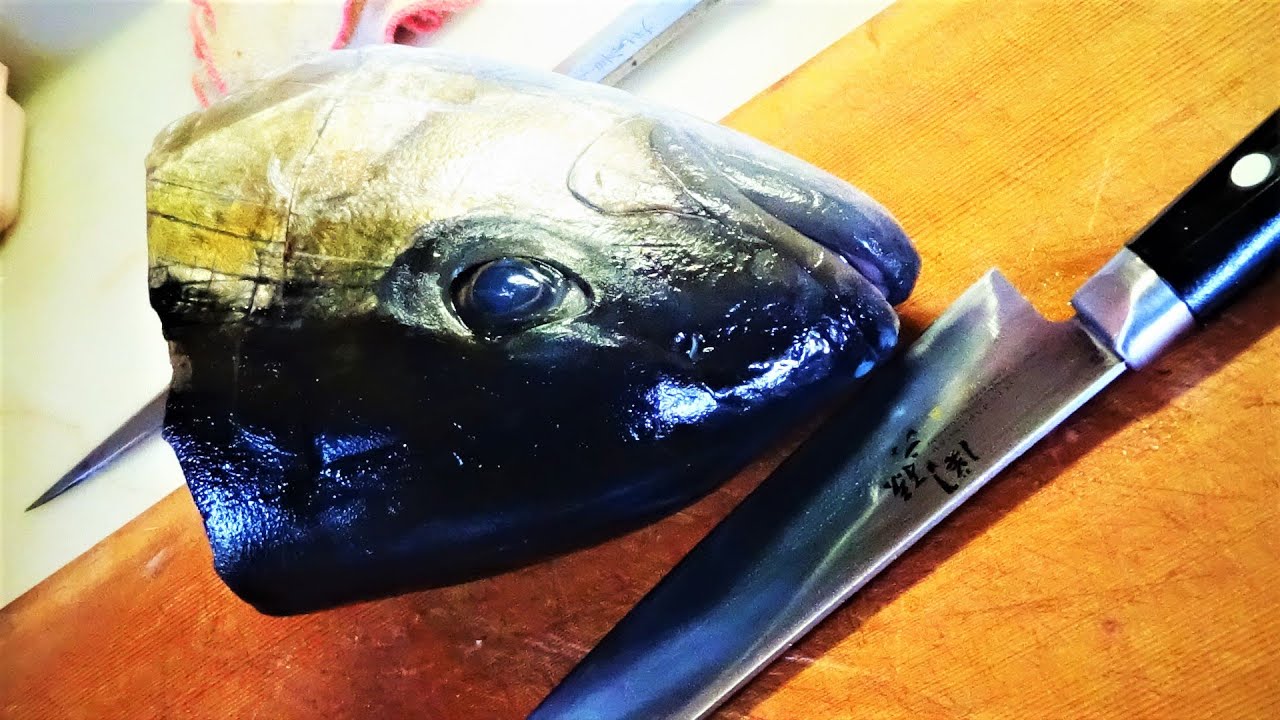 甥っ子が釣り上げた釣り堀の魚 脂ノリノリカンパチを三枚おろし皮引きお造り