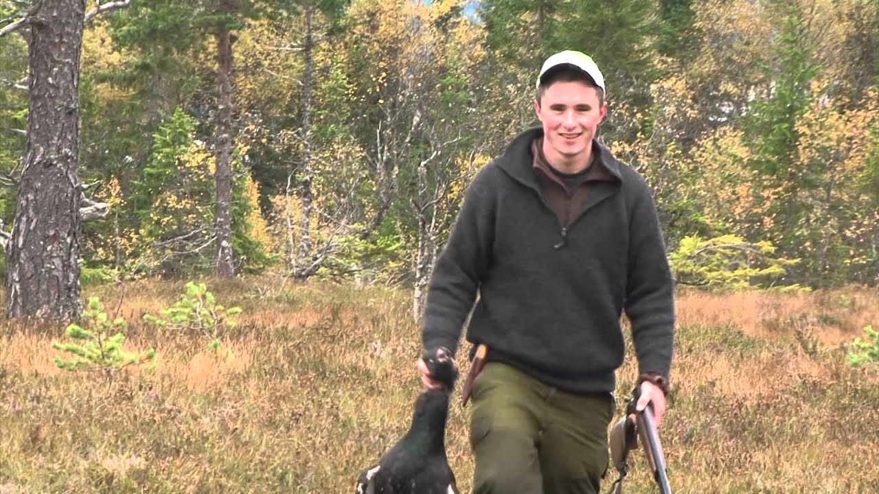 &Oslash;yvind feller tiur for Runa