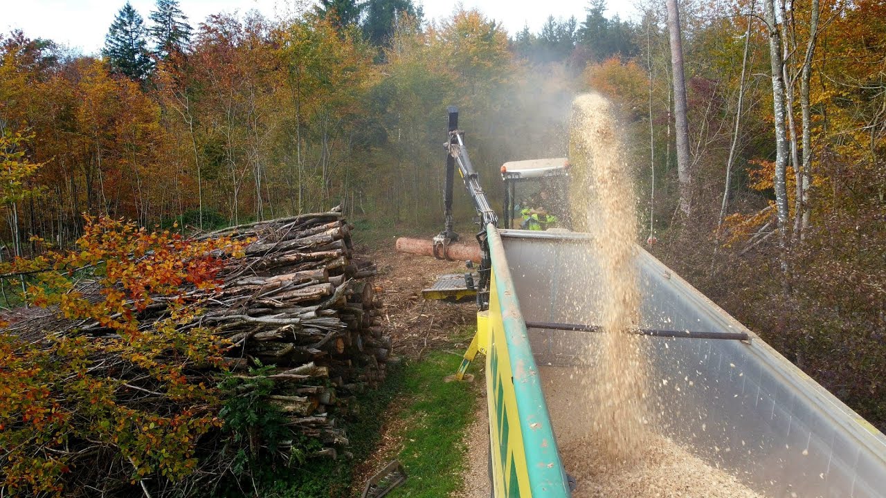 Nachhaltige Holzverarbeitung bei Bioenergie Frauenfeld