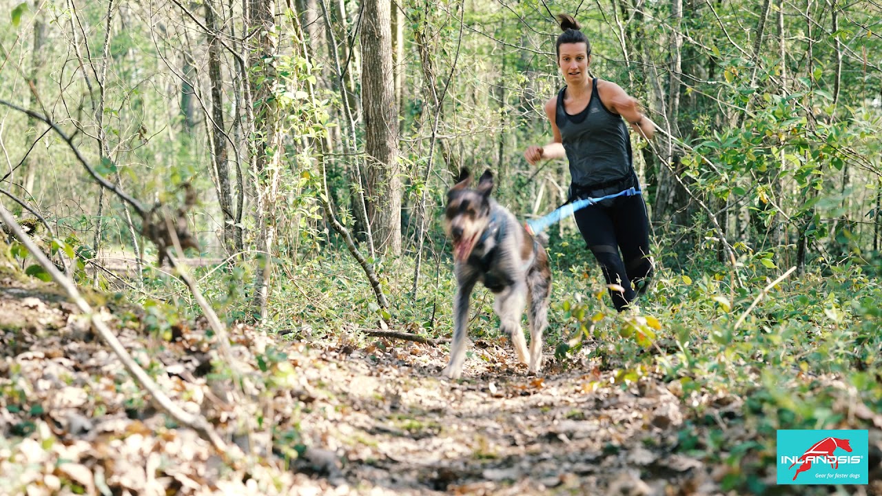 INLANDSIS - Discover the Canicross Range: Harness, Leash, and Belt for Optimal Performance