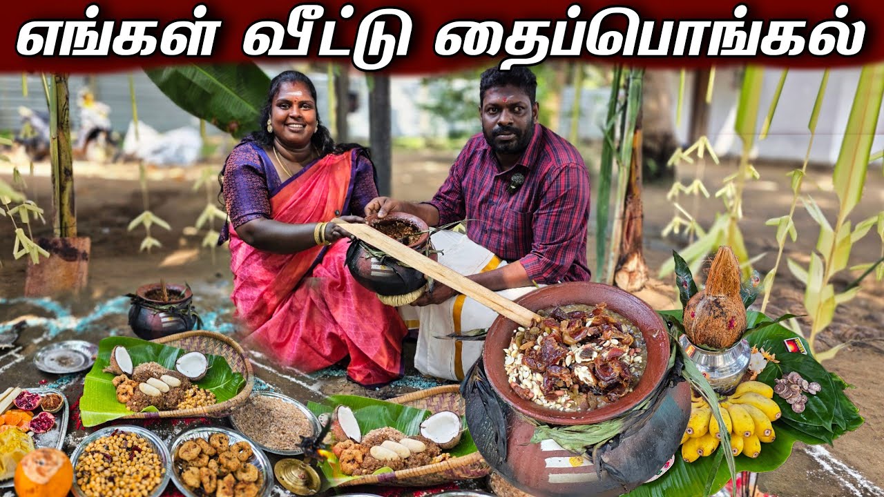 சுஜி வீட்டில் தைப்பொங்கல் கொண்டாட்டம் | thai pongal celebration | vanni vlog 
