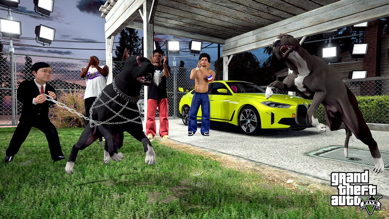 SÜLEYMAN SİYAH PİTBULL JACK'İ ARABA ANAHTARINA DÖVÜŞE GÖTÜRÜYOR! - GTA 5 Gerçek Hayat