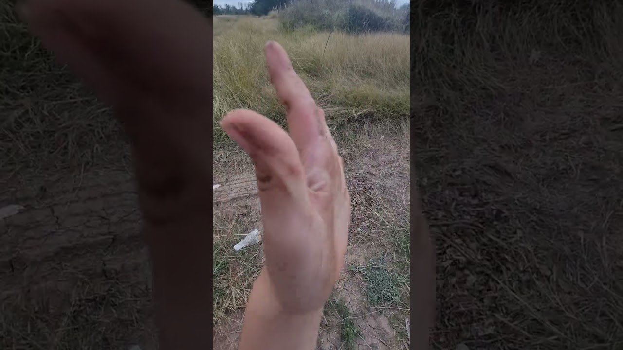 1 de febrero de 2026