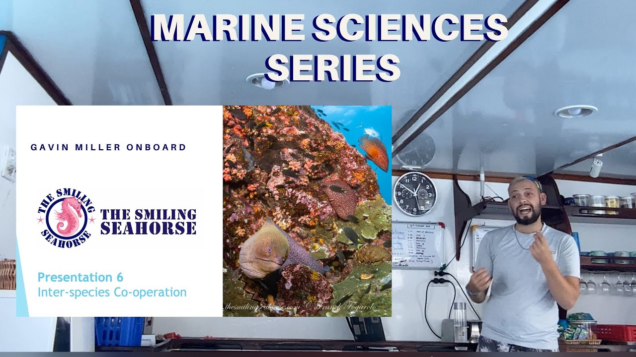 Marine Science: Interspecies Cooperation 6/7