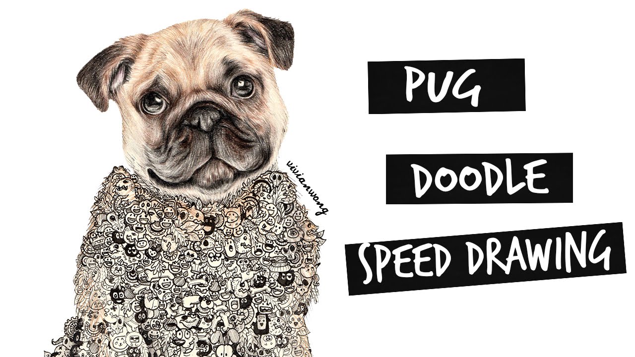 Pug Doodle Speed Drawing | Vivian Wong