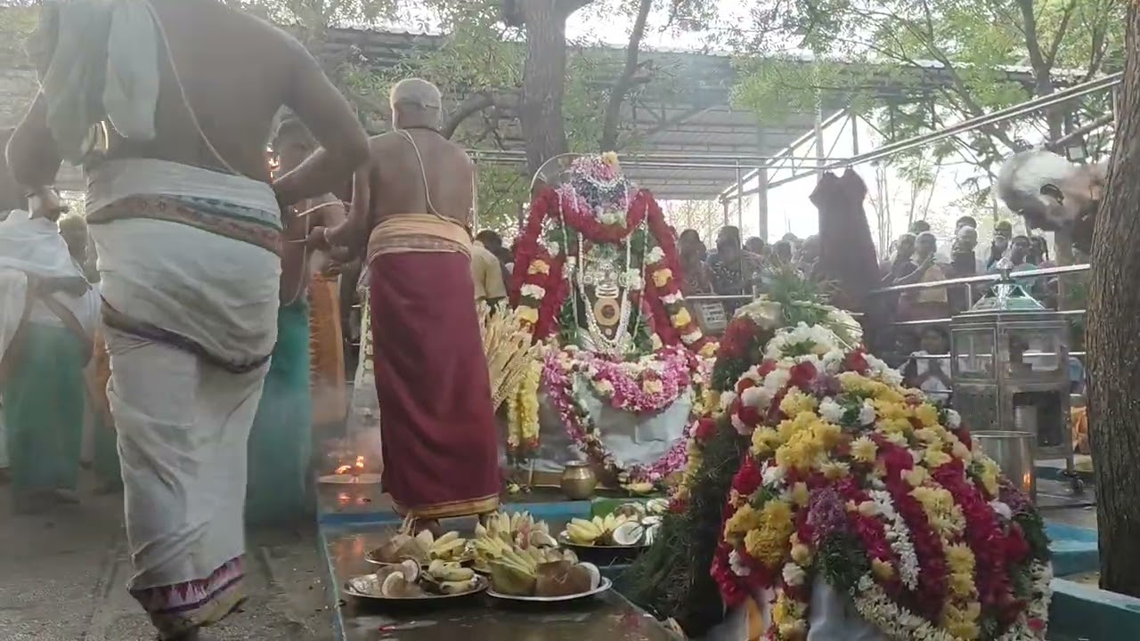 சனி பிரதோஷம் நல்லியம்பாளையம் சிவன் கோயில் துறையூர் வட்டம் திருச்சி மாவட்டம் nalliyampalaiyam temple 