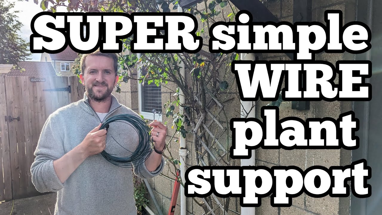 How to INSTALL wire plant supports! (Saving my climbing rose!🌹) #gardening #diy #flowers