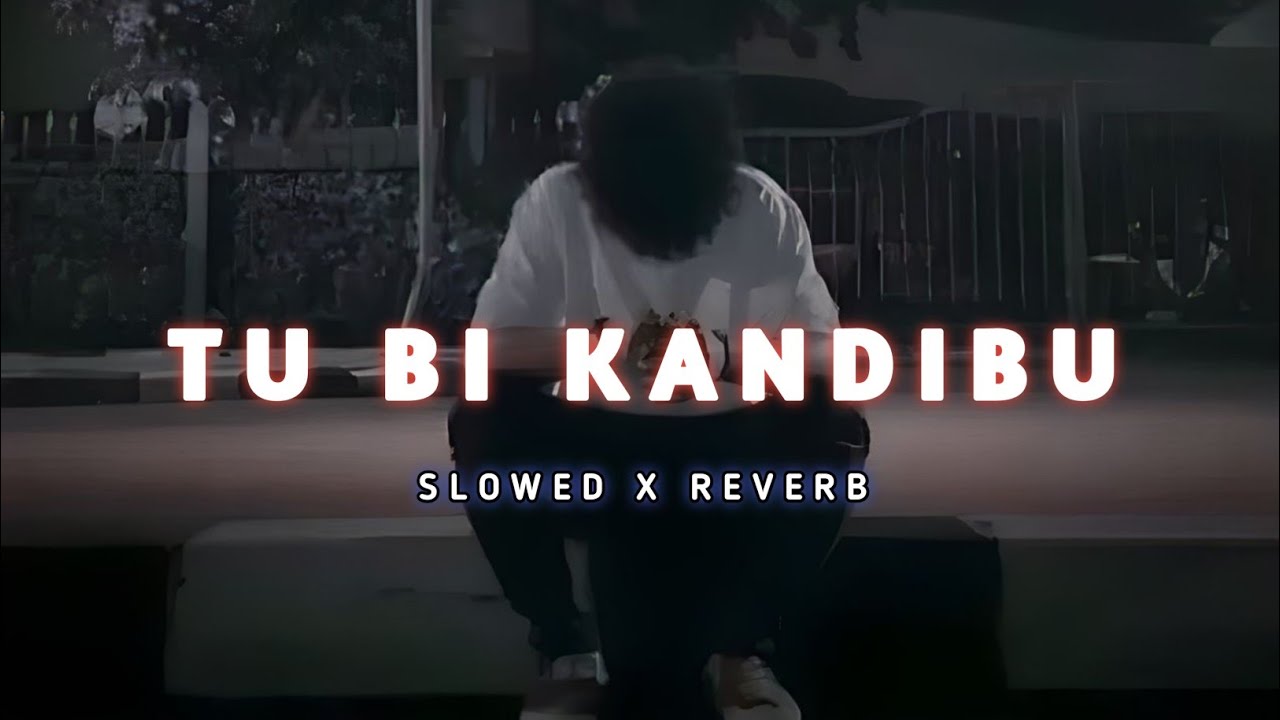Tu Bi Kandibulo Semiti Odia (Slowed+Reverb) Lofi Song | Humane Sagar | Sad Odia Lofi Songs