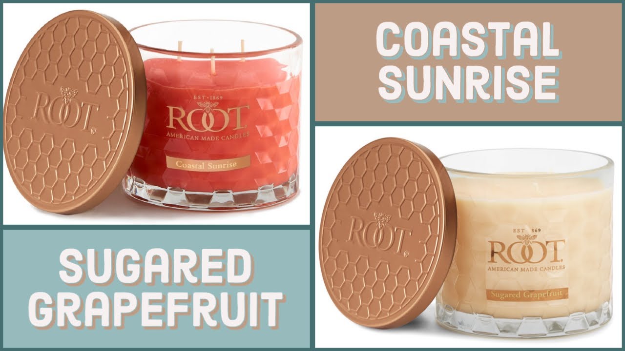 Coastal Sunrise 🌅 Sugared Grapefruit, from Root Candle review