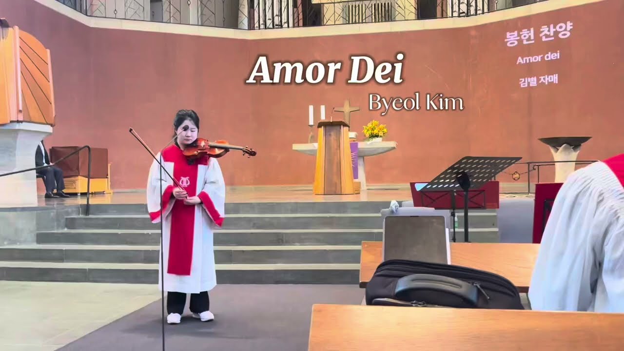 하나님 사랑 날 위하여 - 바이올린 연주 (Amor Dei)