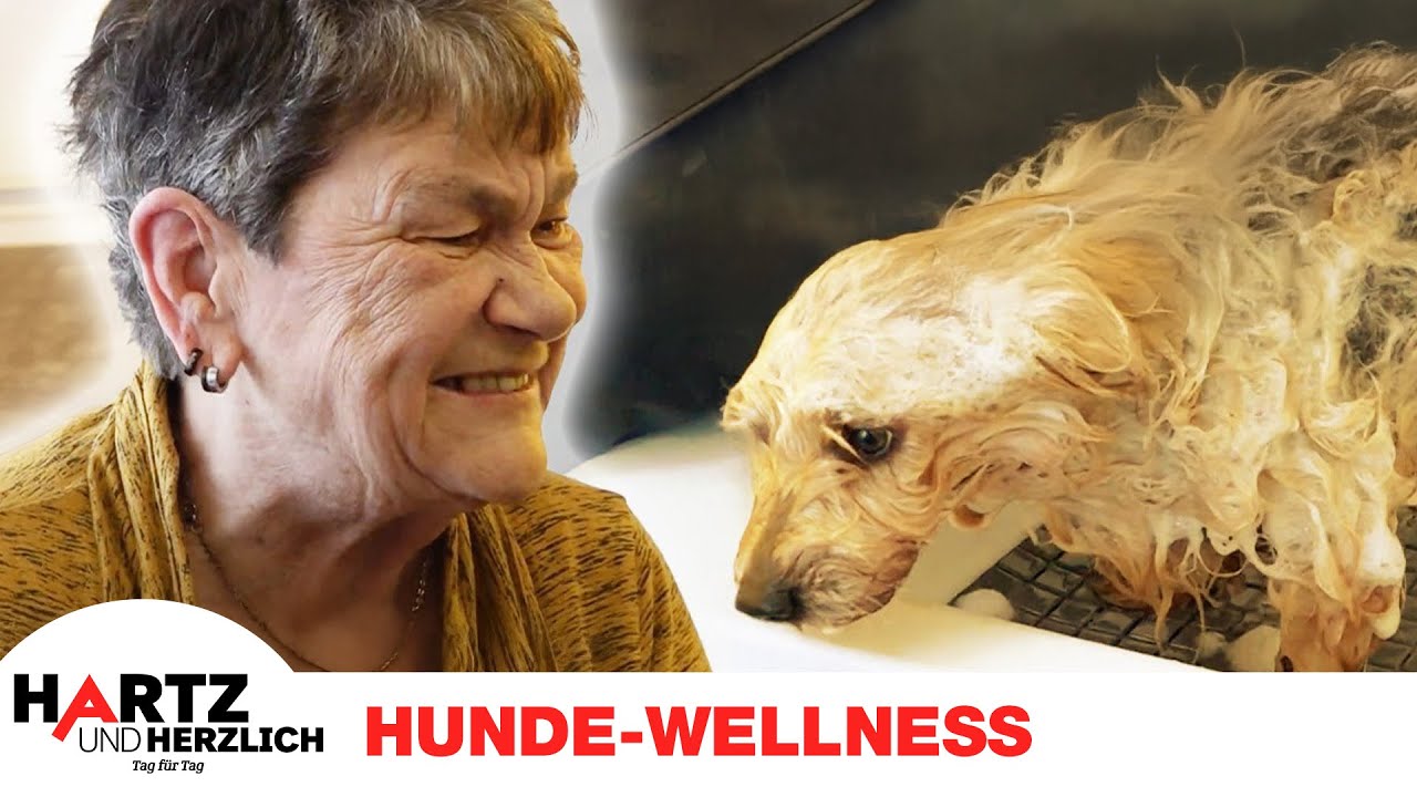 Wellness für Micki, Sorgen für Bärbel | Hartz und herzlich - Tag für Tag #hartzundherzlichdaily #448
