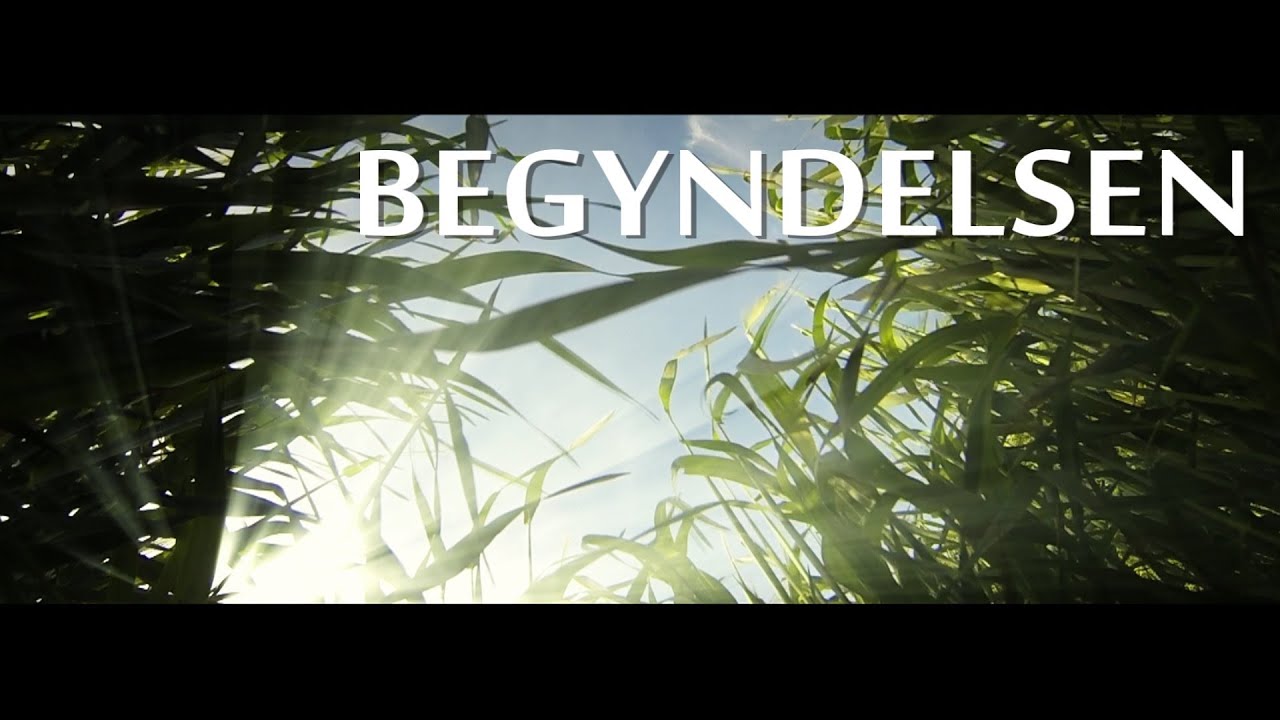 Dimission 2016 - Begyndelsen