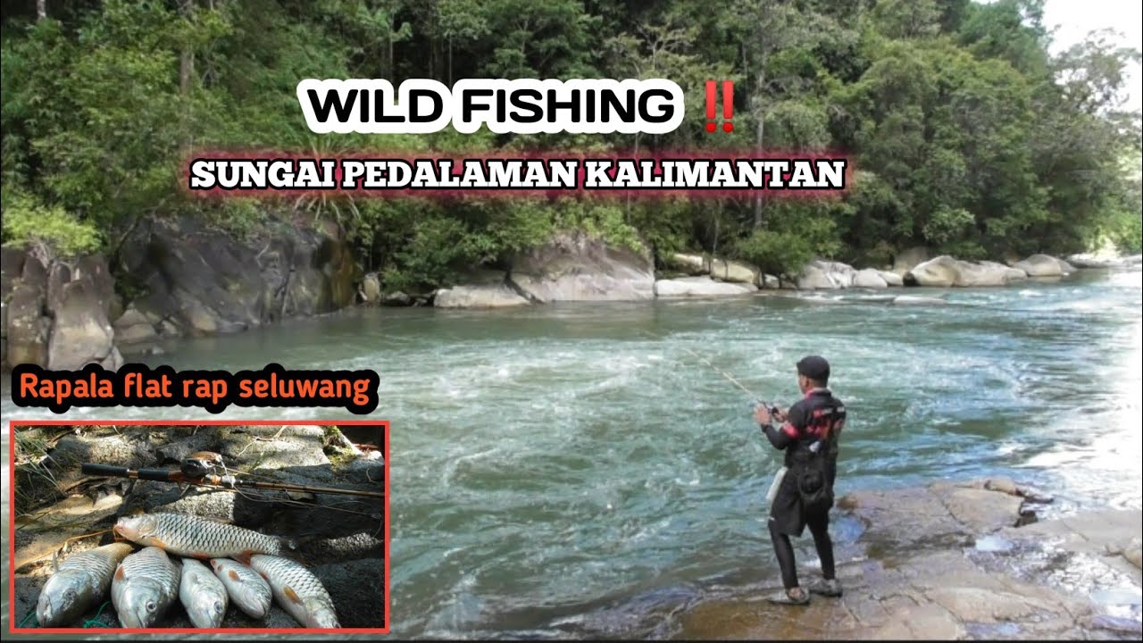 WILD FISHING:‼️ LURE RAPALA FLAT RAP DAN HAMPALA SEI  PEDALAMAN KALIMANTAN.