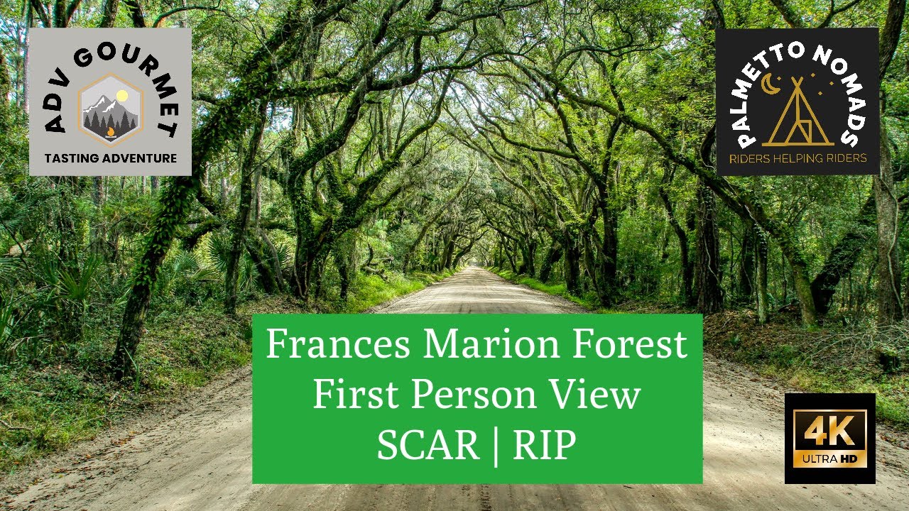 Frances Marion Forest | First Person View | SCAR | SIP & RIP