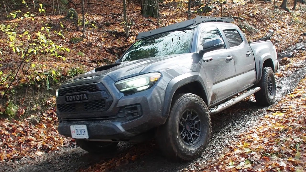 Fall Trail Ride Caledon to Creemore 2020