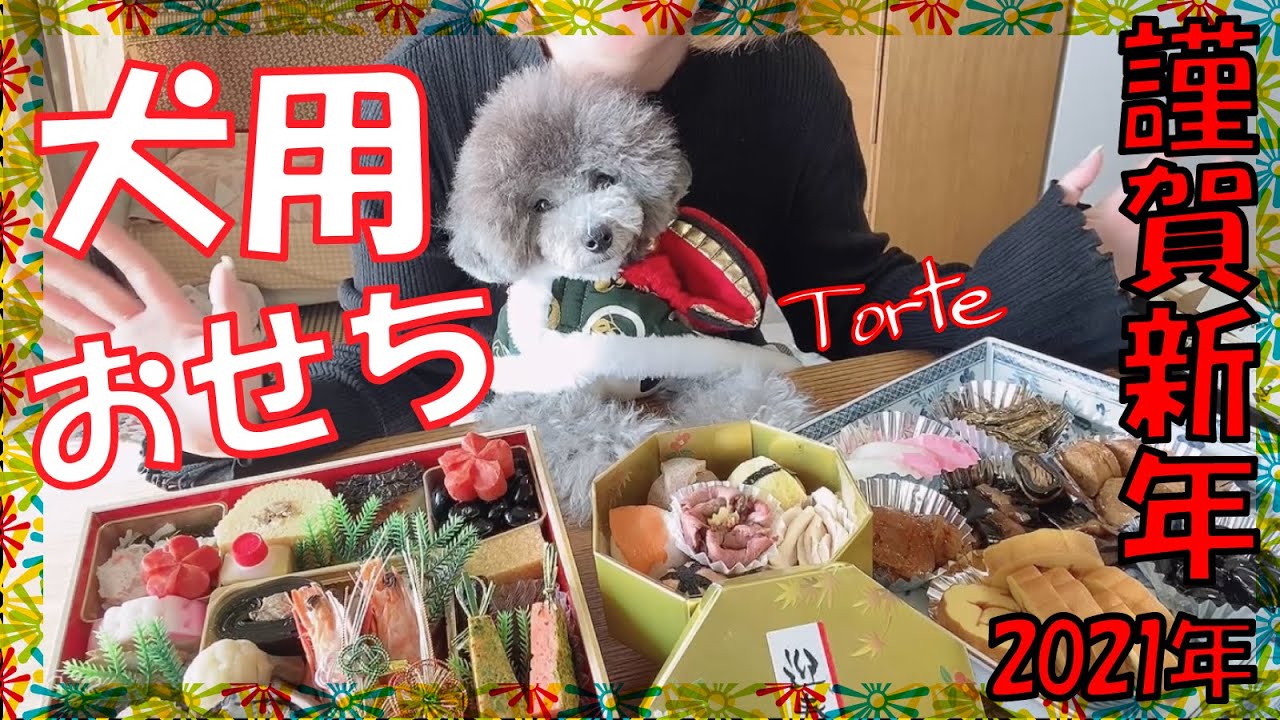 超豪華 犬用おせちを食べてみた🎍【てまり寿司】ママの京料理おせち💕最後おまけあり🐟【謹賀新年】（トイプードルのTorte channel)