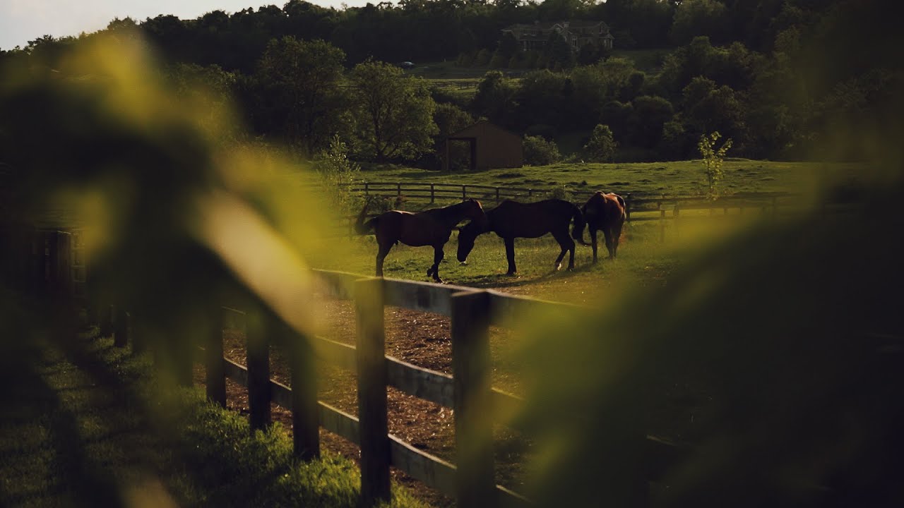 Healing Together: Veterans Equine Program