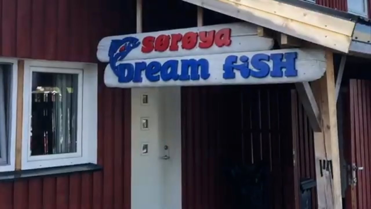 Soroya 2020