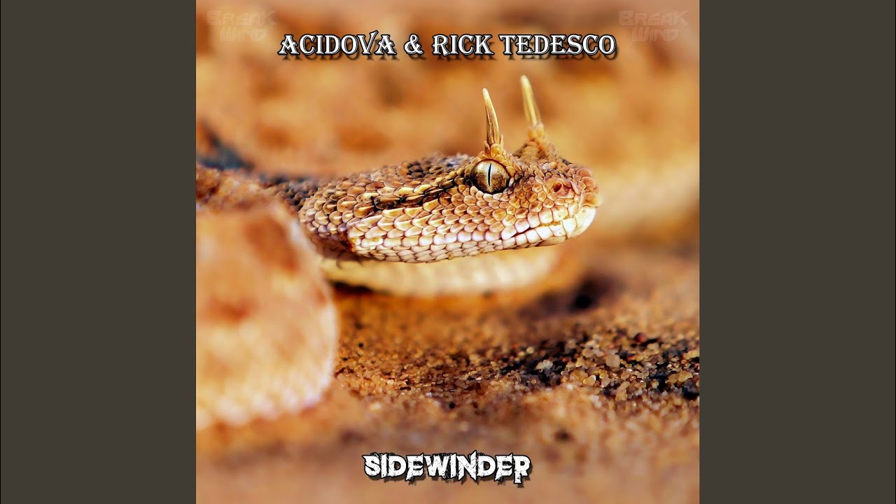 Sidewinder (Original Mix)
