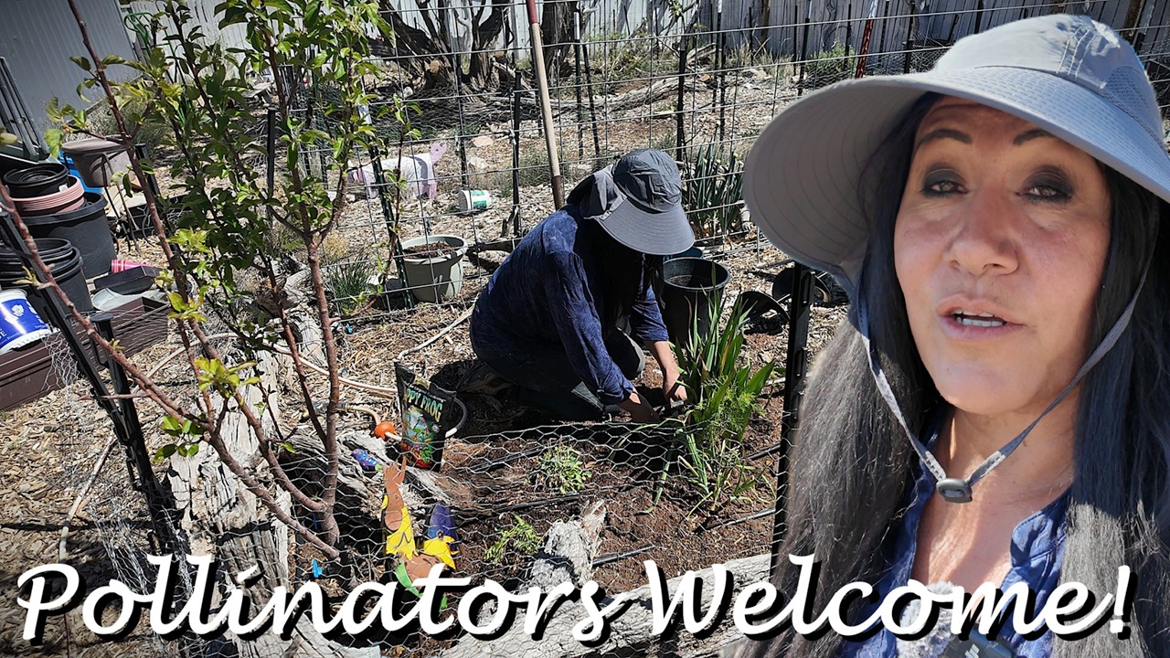 Как сделать мой овощной лес привлекательным для опылителей