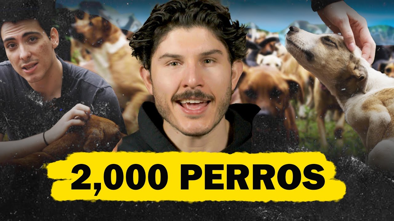 &iquest;C&oacute;mo Y Porqu&eacute; Salvar A Estos 2,000 Perros? | CORTO - DOCUMENTAL
