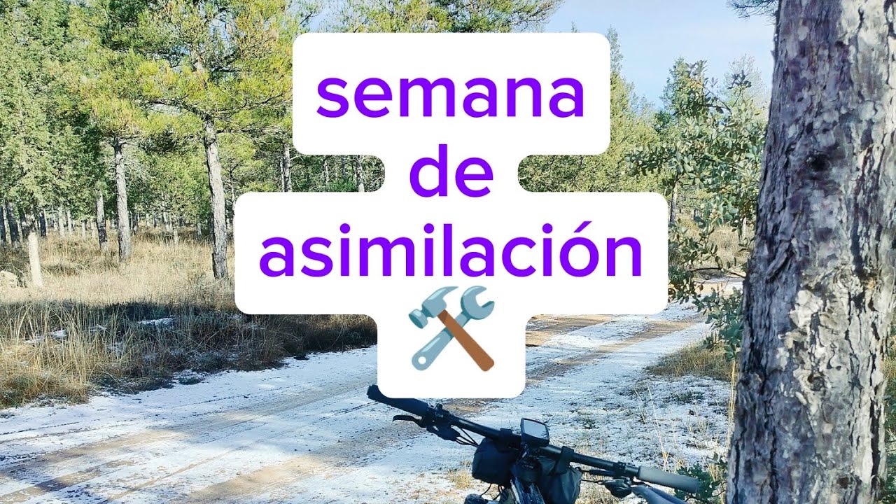 Las claves de la semana de asimilación!📝