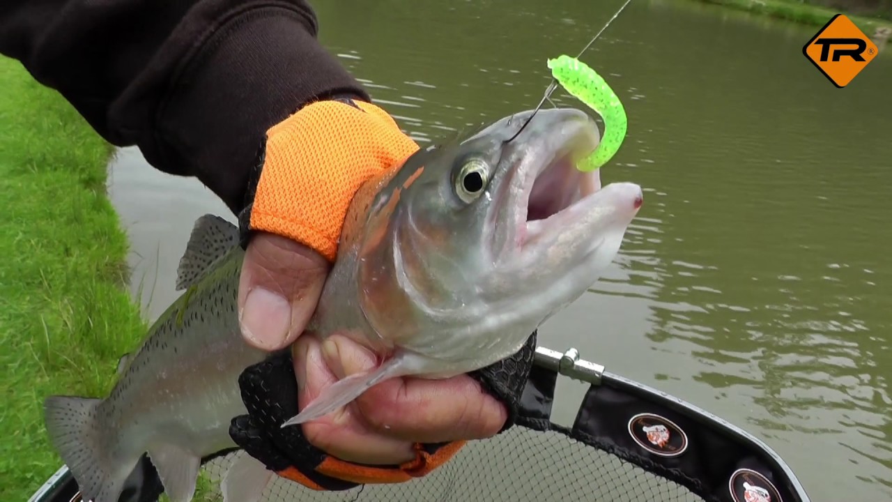 Iron Trout T-Turn (T-Bait Serie): Richtig ank&ouml;dern und Forellen fangen (T-Magg, T-Reap, T-Turn)