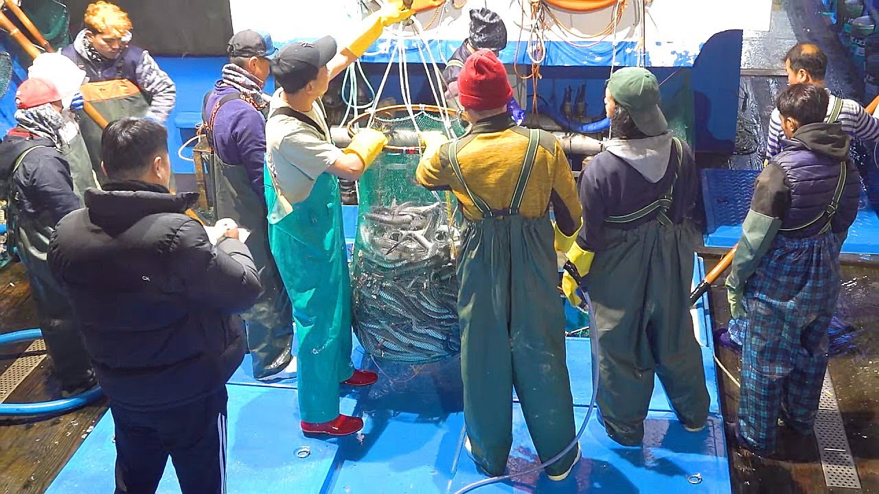 How Marinated Sea Eel Is Made at Scale | Korean Seafood Factory