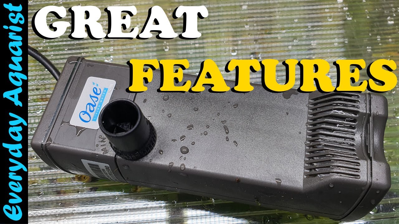 OASE BioCompact 25 Internal NANO Aquarium Filter REVIEW | Some Brilliant Features