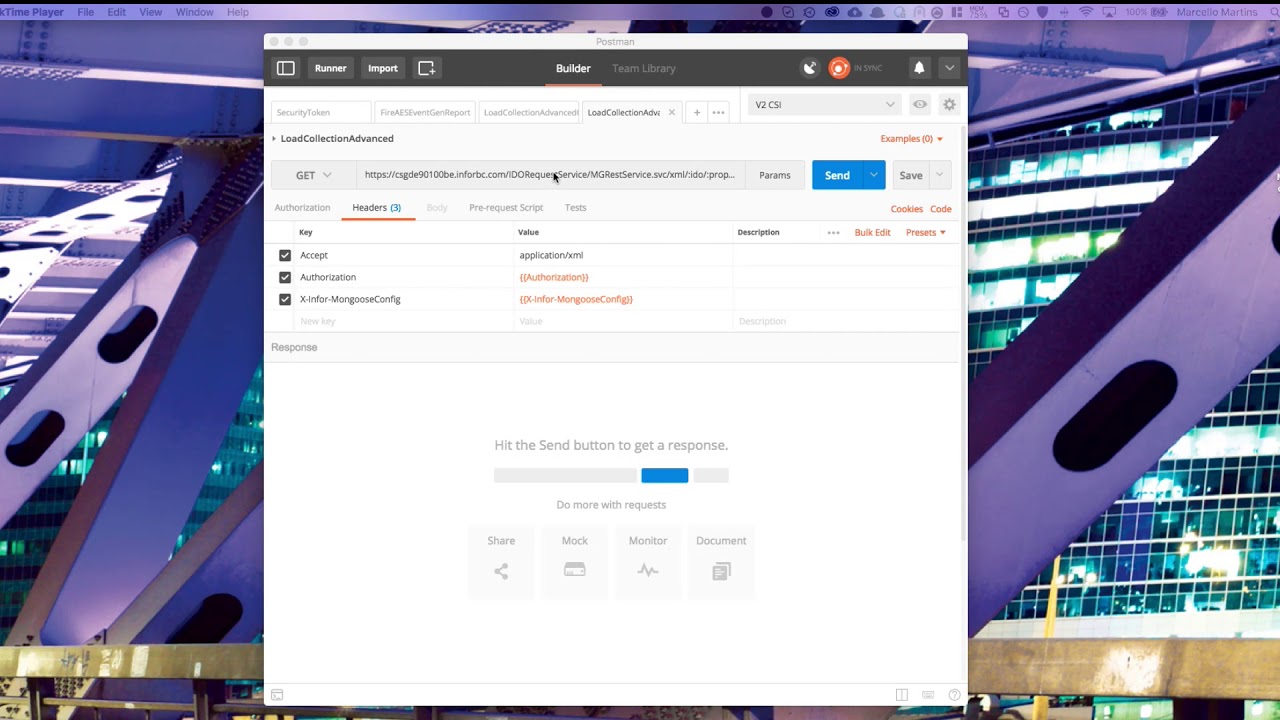 Infor Mongoose: Developer Demo - API Calls
