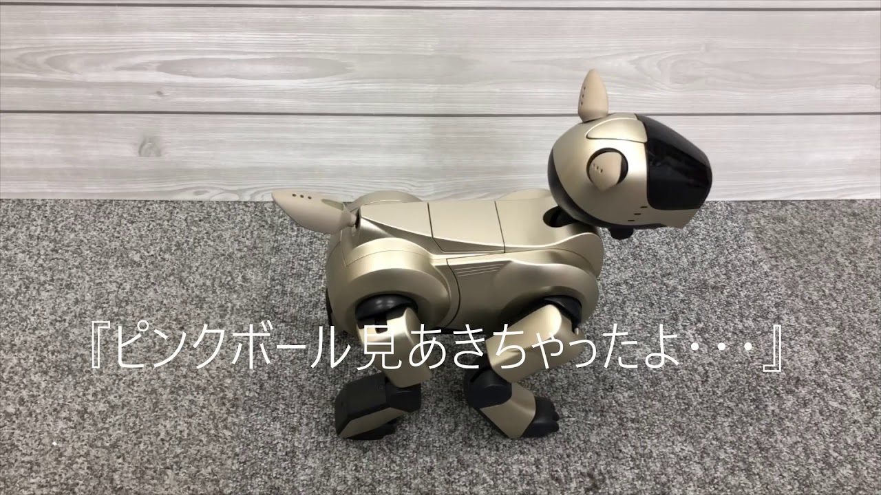 AIBOと一緒にお話ししよう！おりこうAIBOセット