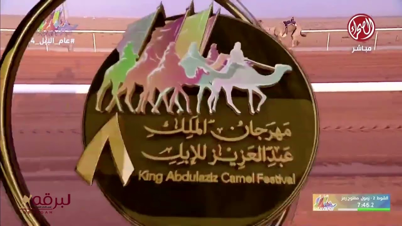 ش2 عجيب لـ هجن الشحانية - جائزة الملك عبدالعزيز للهجن 29-12-2023 رمز الزمول مفتوح 12:16:09