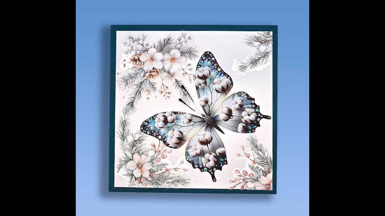 butterfly ....