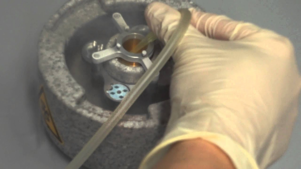 Cryo TEM sample preparation using Vitrobot