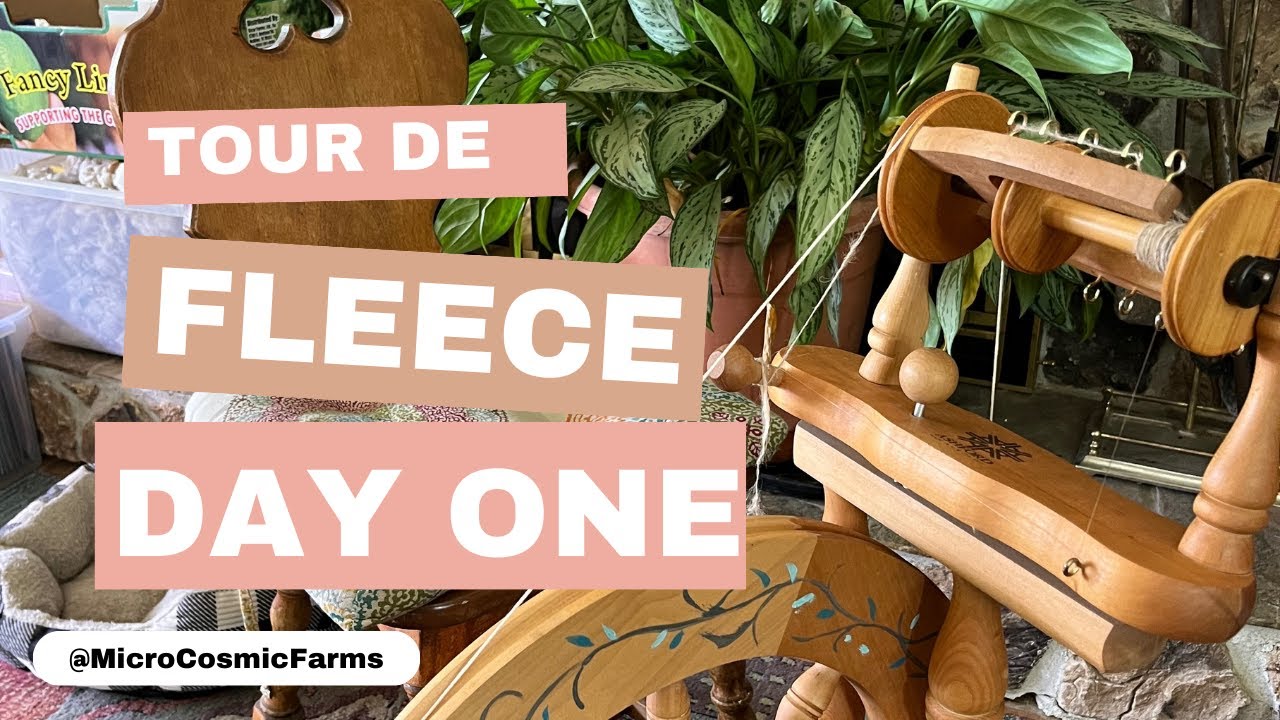 My Tour de Fleece 2024 - Day 1 surprises! Spinning alpaca
