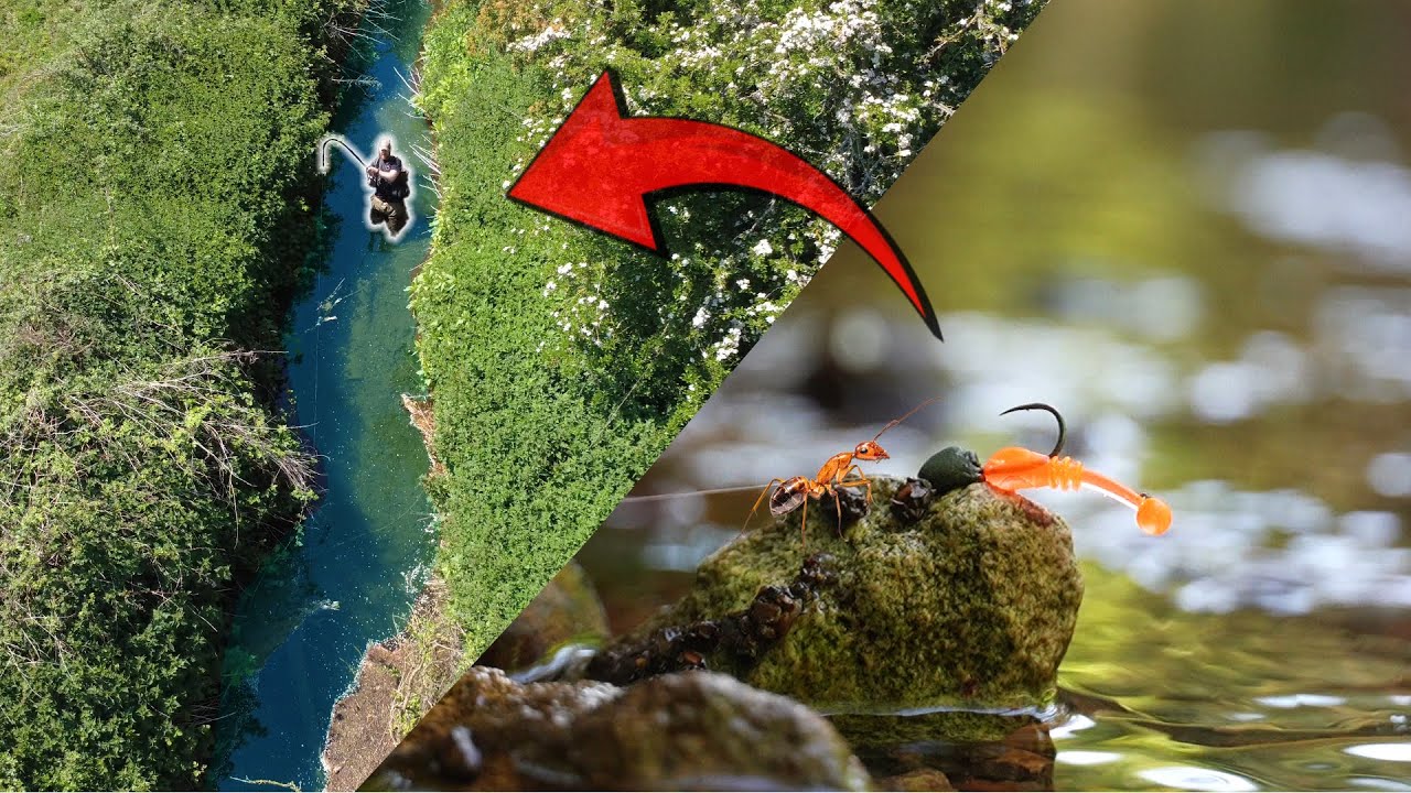 Can This Microscopic Lure Catch a Ditch Giant?
