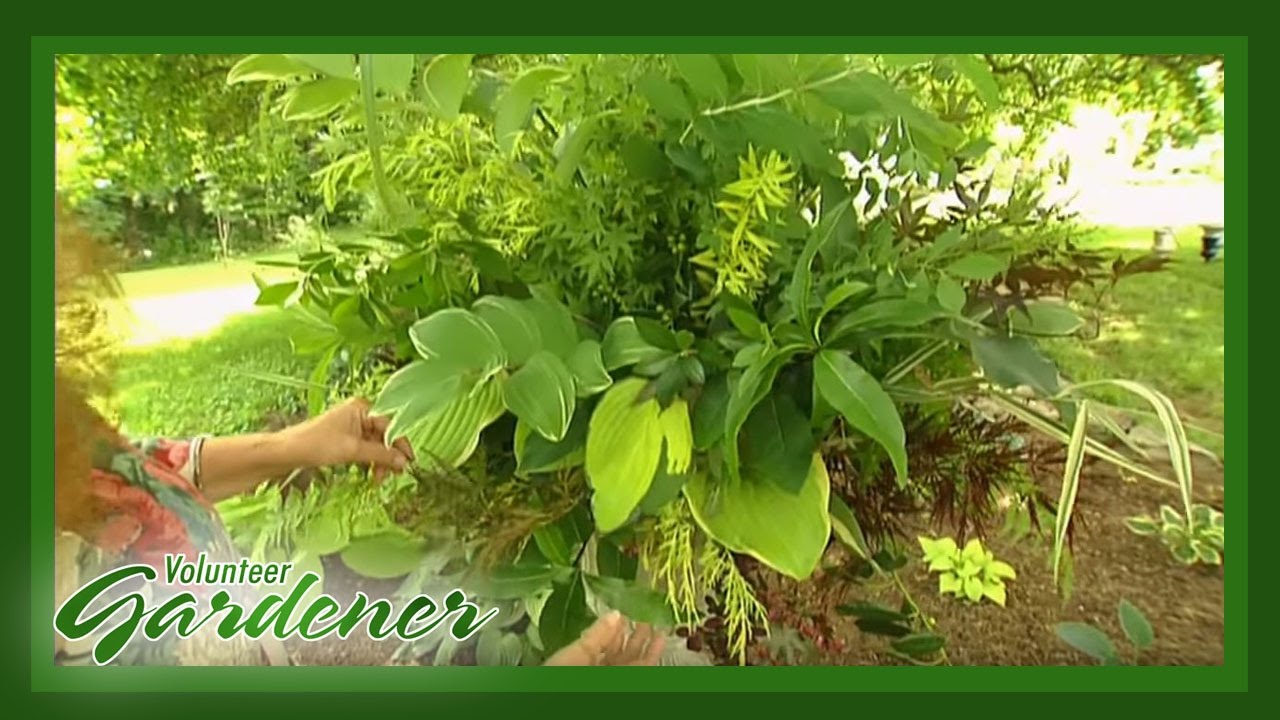 All Green Floral Design | Volunteer Gardener