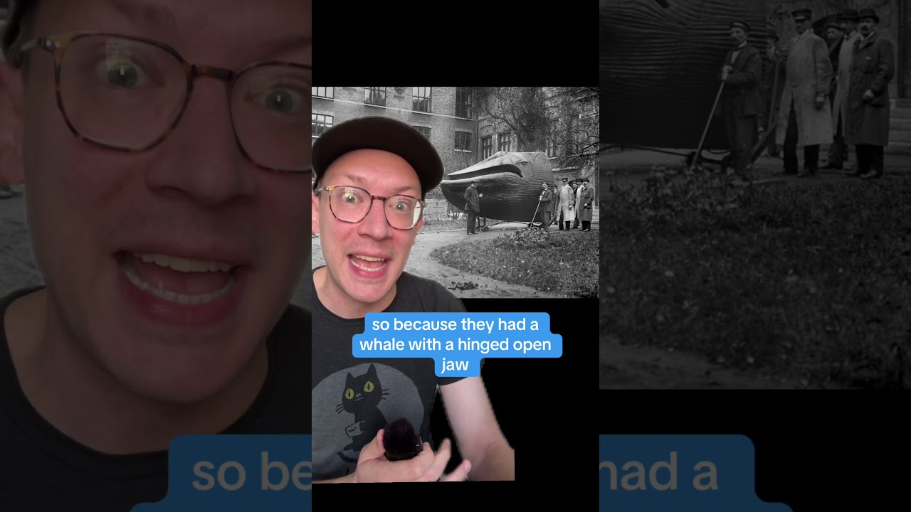 Swedish people taxidermied a blue whale and got weird in it