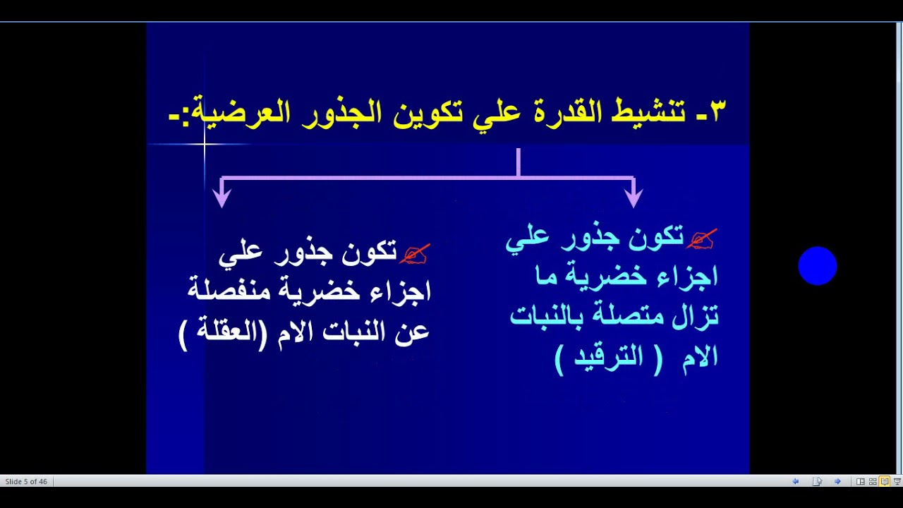 أساسيات بساتين - الفرقة الثانية - جميع الشعب - المحاضرة الرابعة